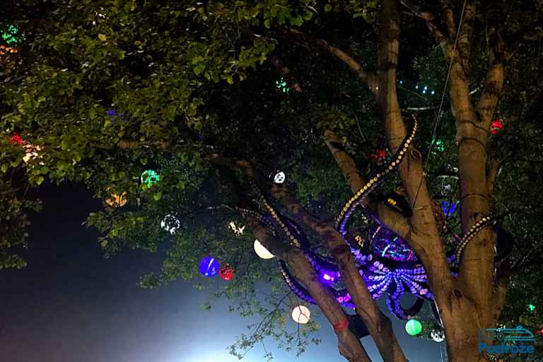 zdjęcie: Instalacja świetlna na drzewie na Sziget Festival