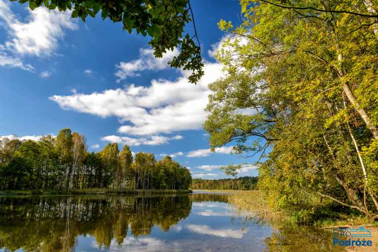 zdjęcie: jezioro i las