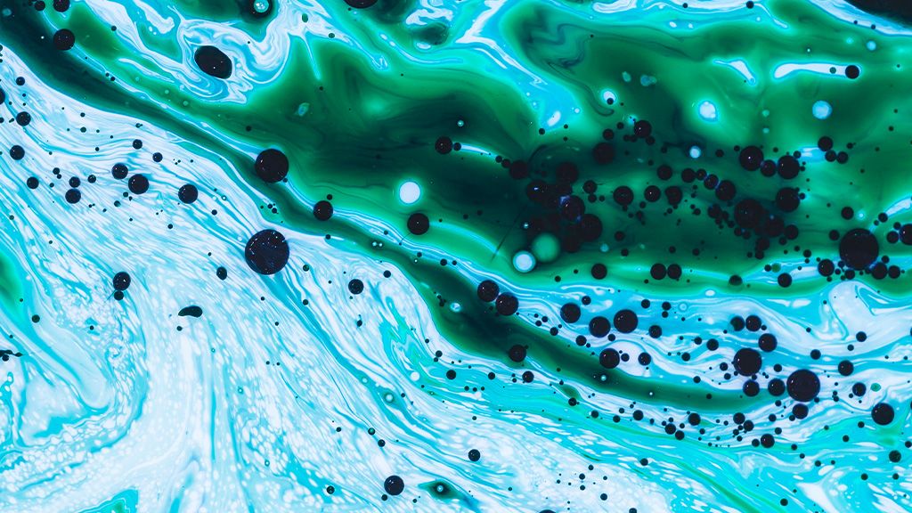 Muzeum Iluzji i Nauki