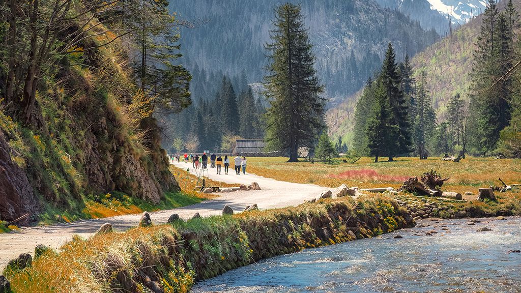 Ścieżka przez dolinę Kościeliską