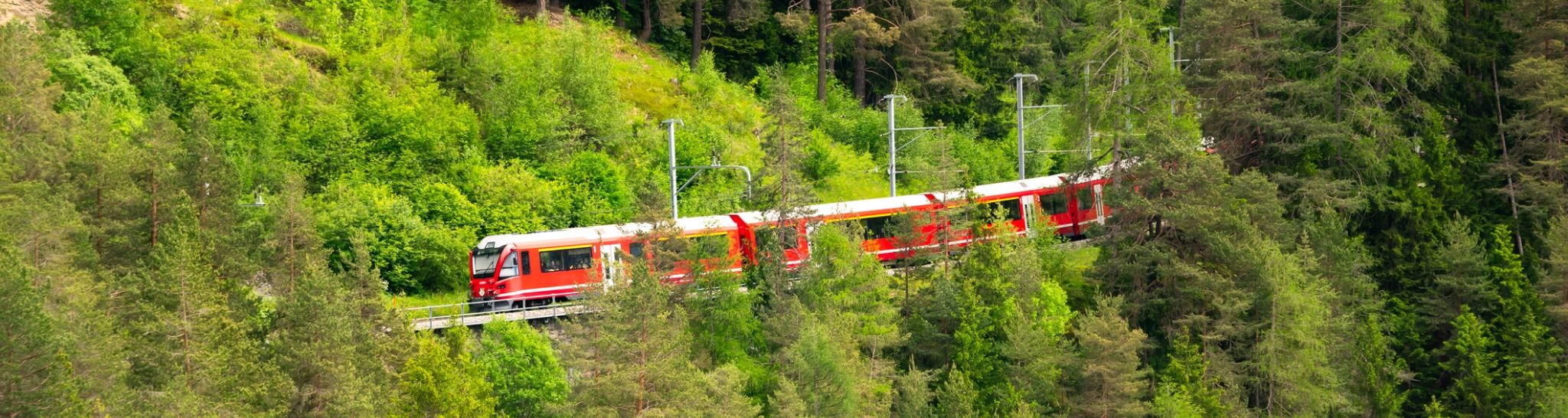 Pociąg jadący przez las