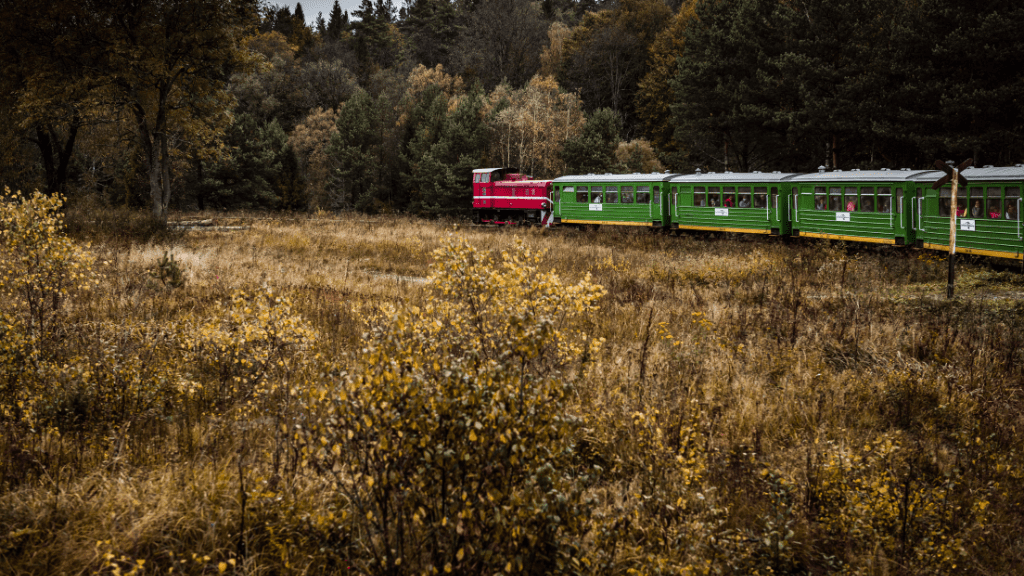 Bieszczadzka Kolejka Leśna