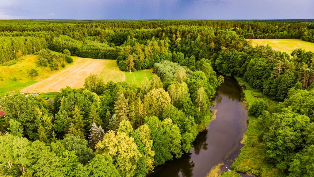 Bory Tucholskie z lotu ptaka